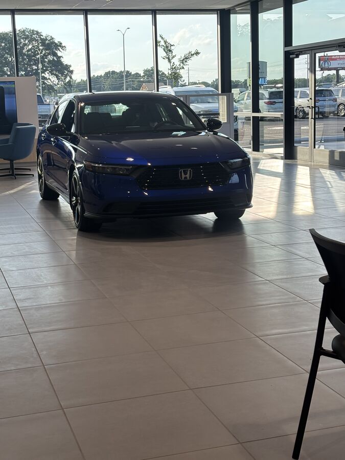 Freshly detailed hood reflection